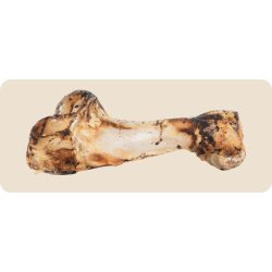 Dínó csont XL (≈ 33 cm)